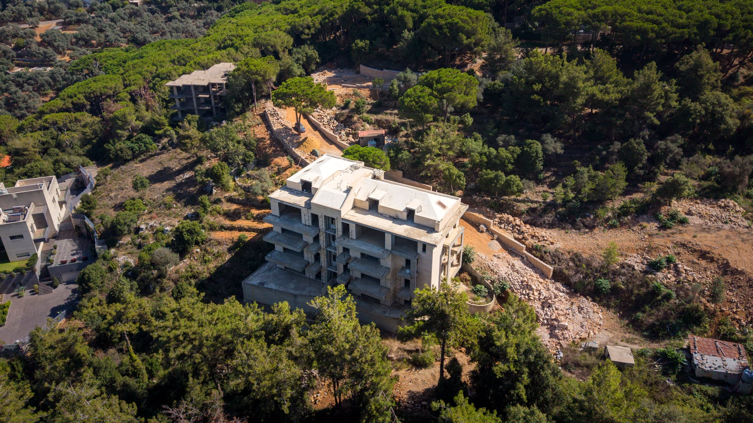 Broumana 2976 — image 2 of 6